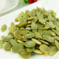 Edible Green Color Shine Skin Pumpkin Kernel (AA) From China